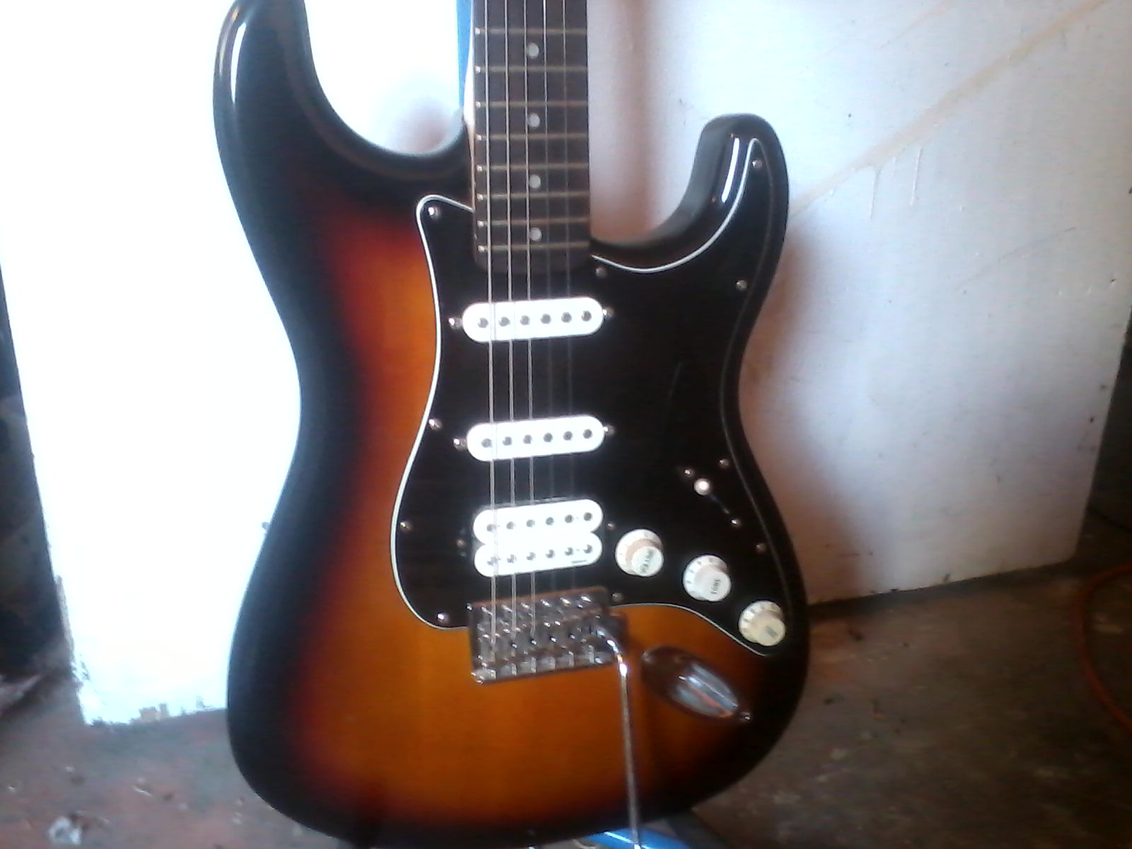 Palm Tree Guitars